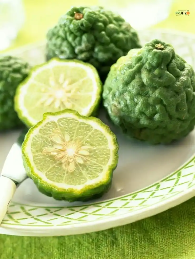 Kaffir lime Grafted Plant For Home | Terrace Gardening.png