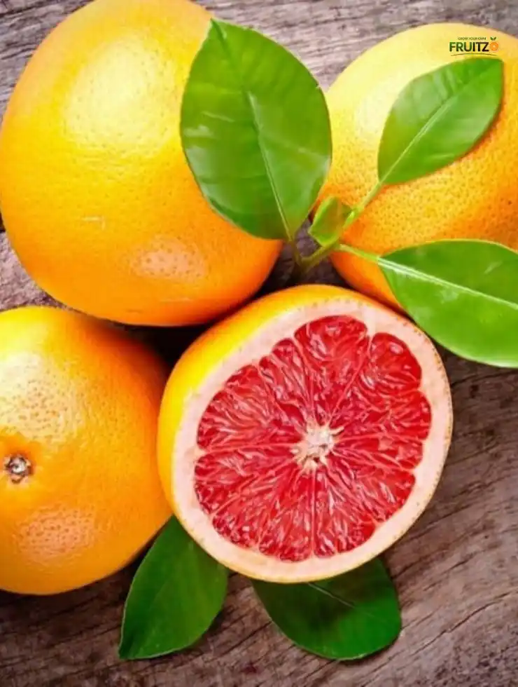 Ruby Red Greatfruit (Grafted) Plant For Terrace | Home Gardening..png